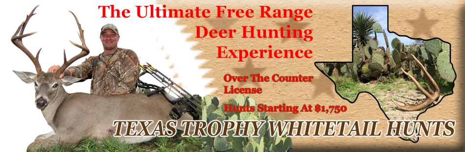 Texas trophy whitetail deer hunts